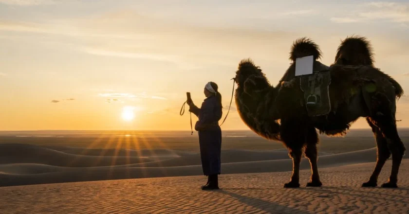 Starlink Closes Year with Major Milestones in Connectivity and Expansion