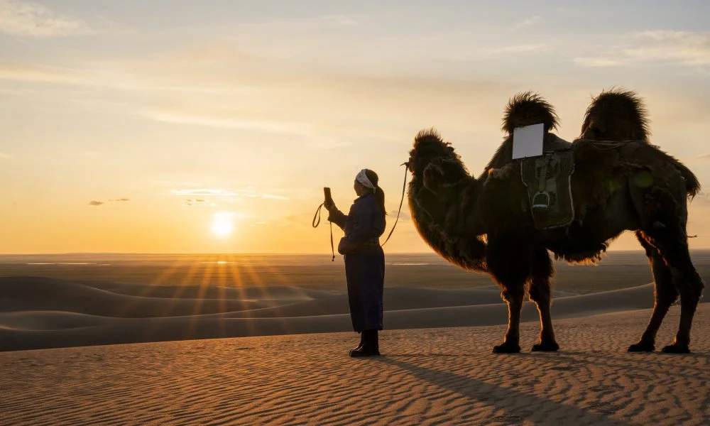 Starlink achieves major milestones in 2025 progress report