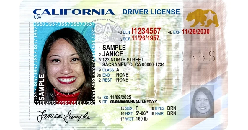 California DMV Error Affects Thousands of Immigrants’ Licenses