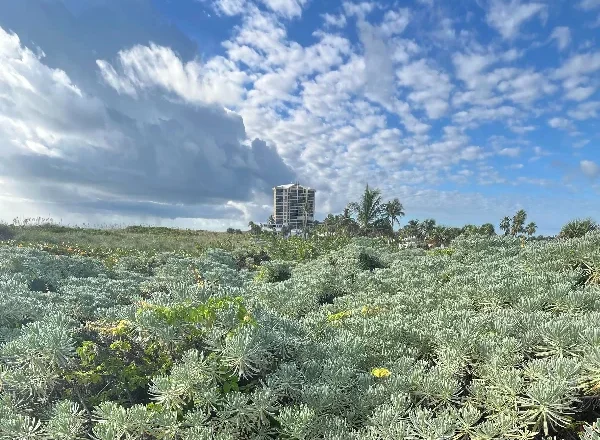 Crucial Climate Actions for a Greener Future in 2026