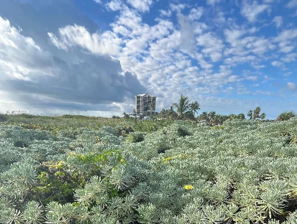 Here Are Some Crucial Climate Actions You Can Take To Protect The Environment In 2026